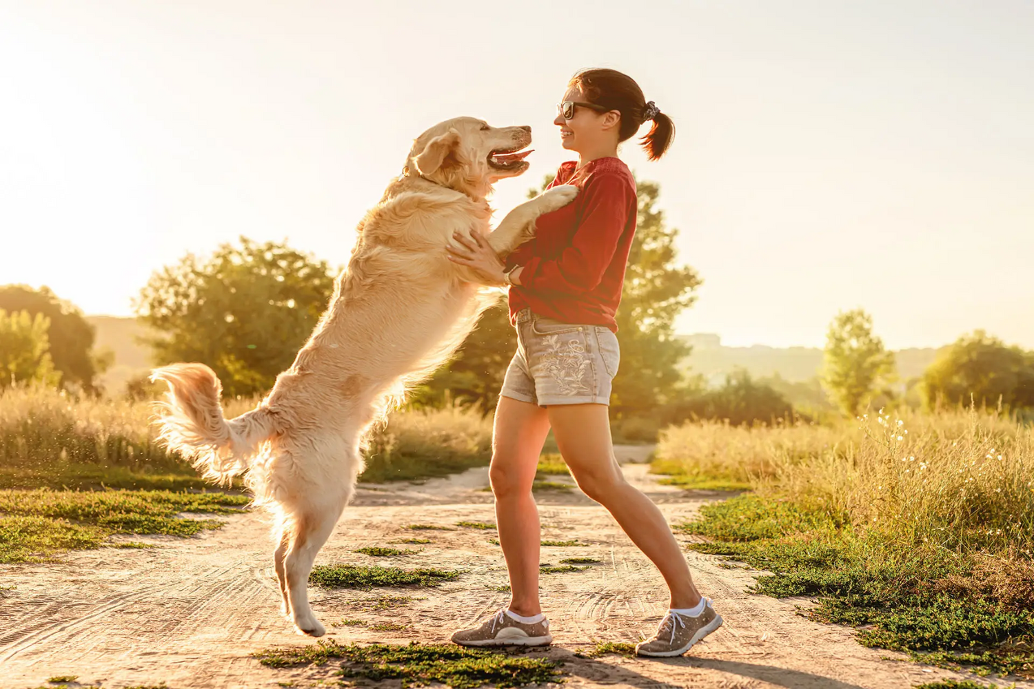 dog jumping up with an owner on a walk track