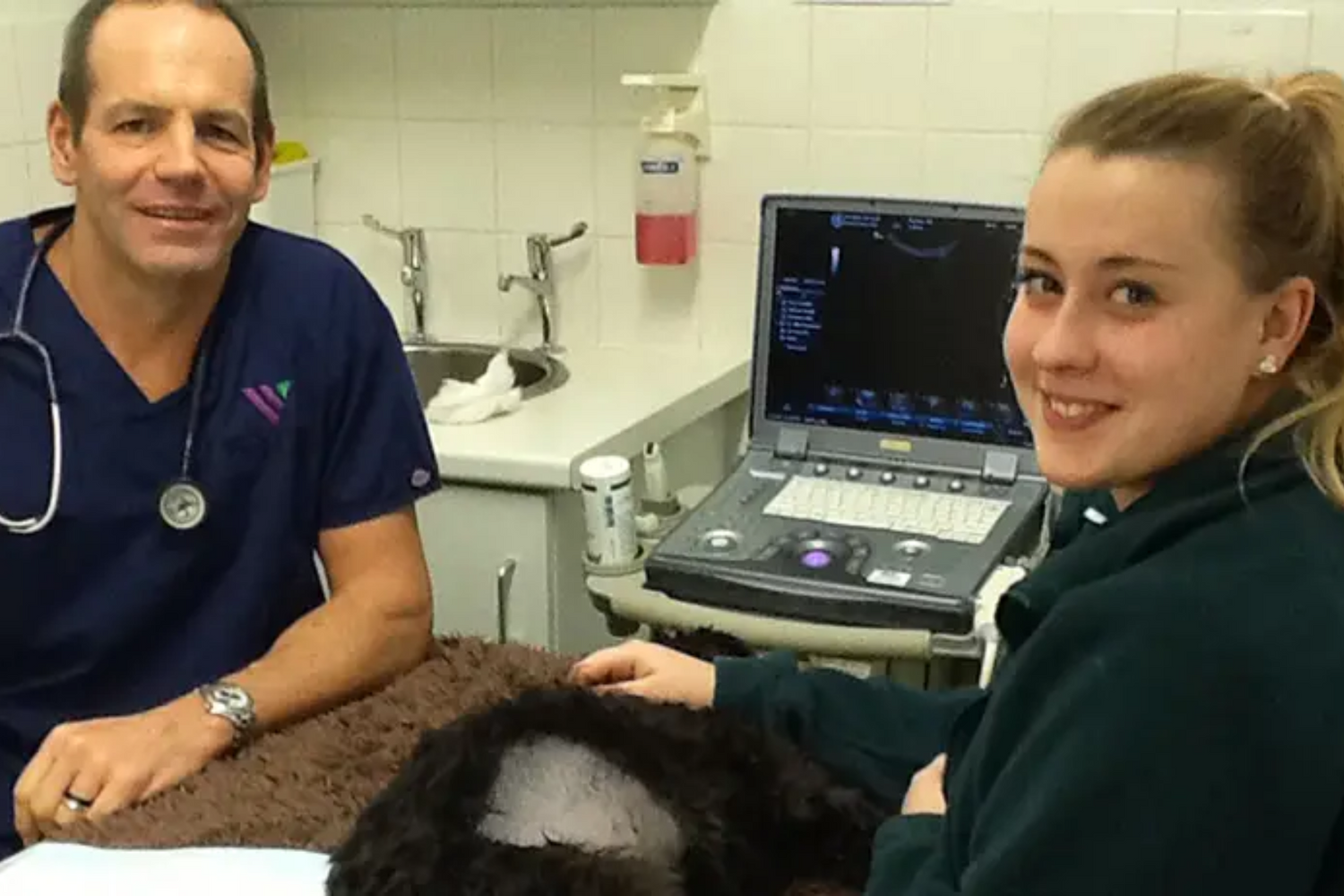Qualified veterinarian and Director of the Wylie Veterinary Centre, Richard Doyle in his office with a patient