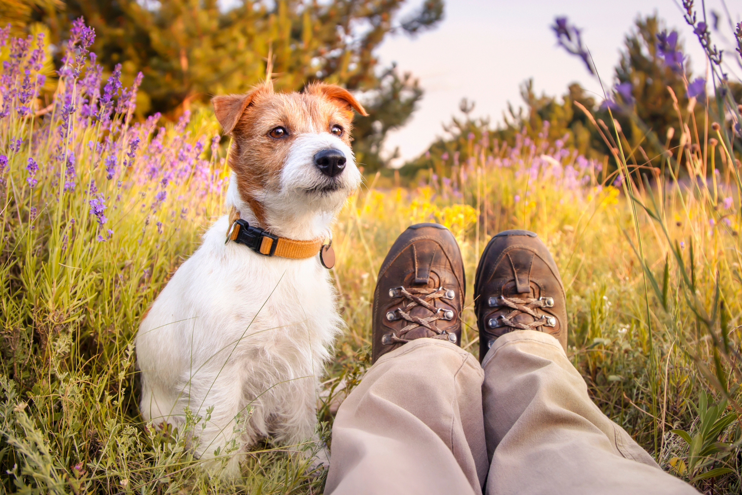 Tick Prevention and Protection