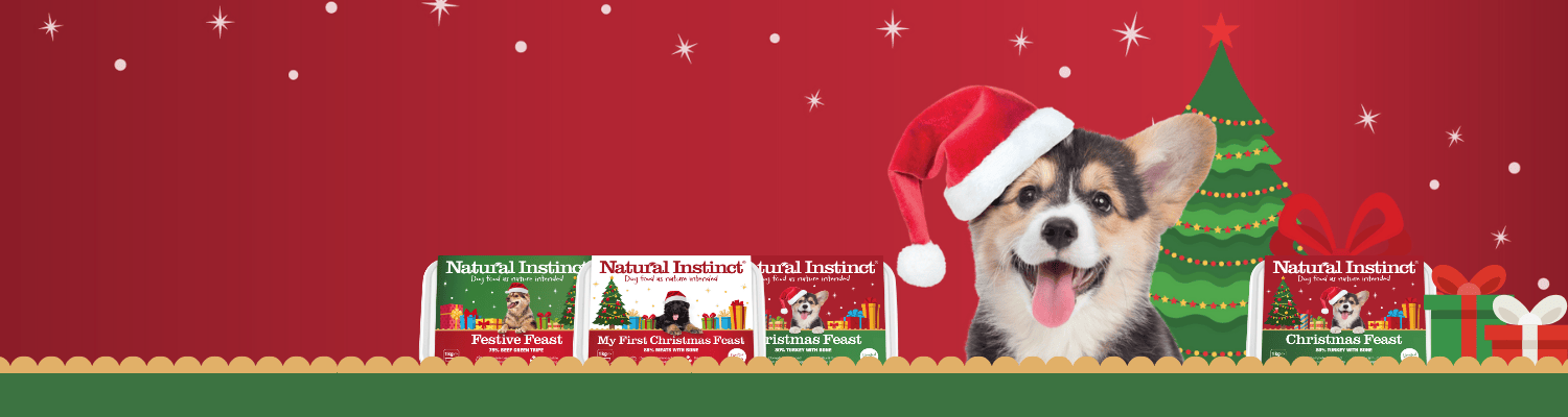 Dog wearing a Santa hat with Natural Instinct pet food packages and Christmas decorations on a red background.