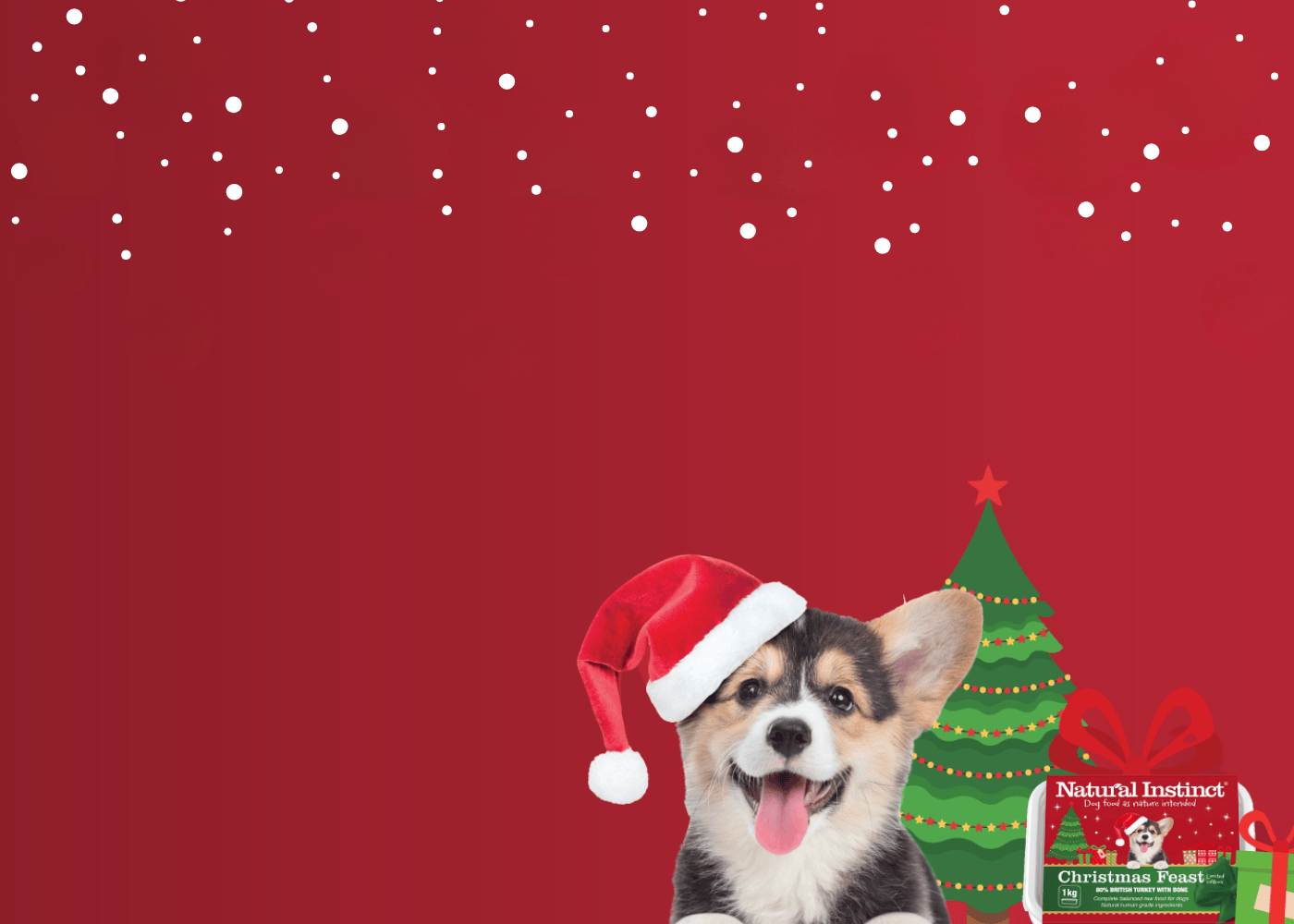 Dog wearing a Santa hat with a Christmas tree and presents on a red background