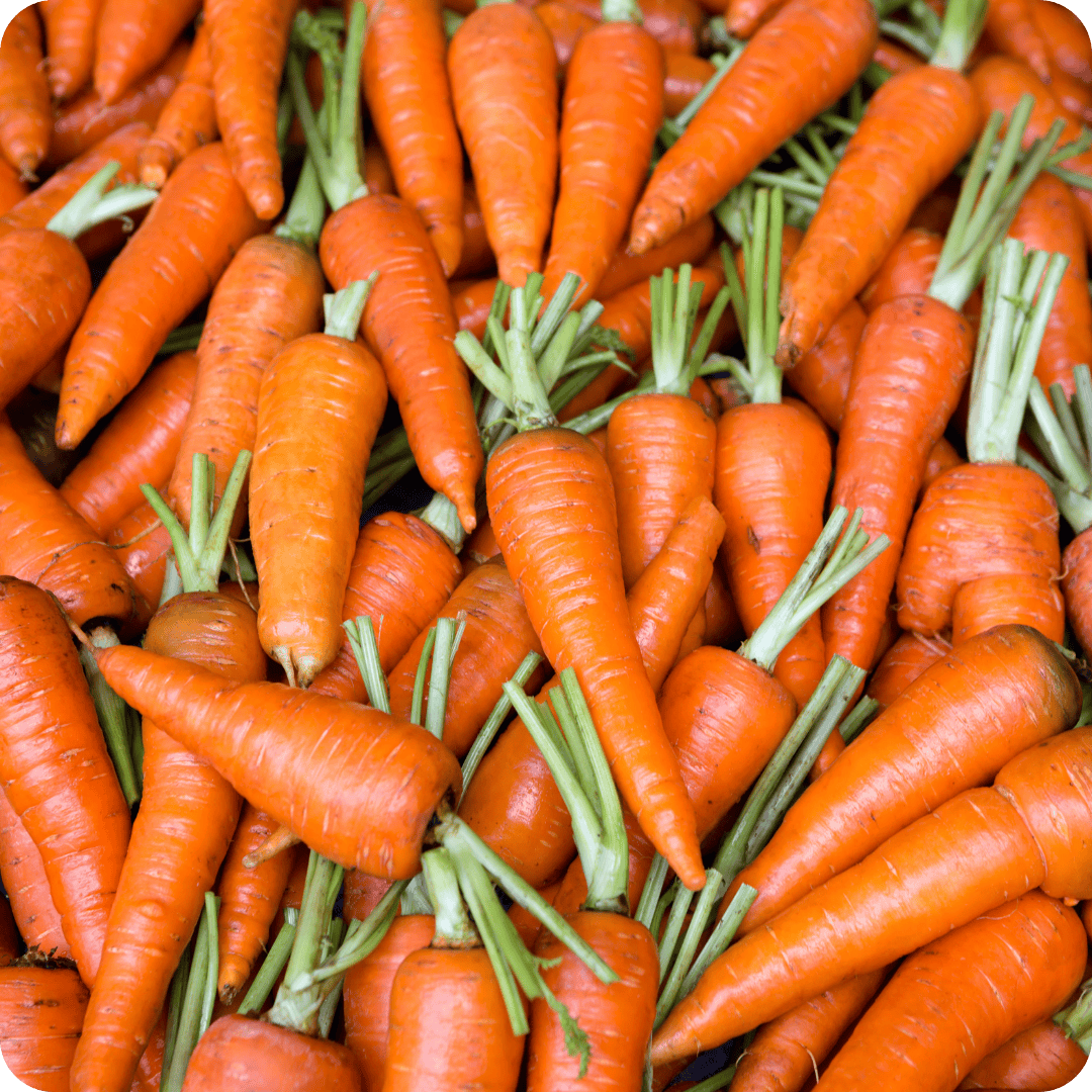 Pile of raw carrots