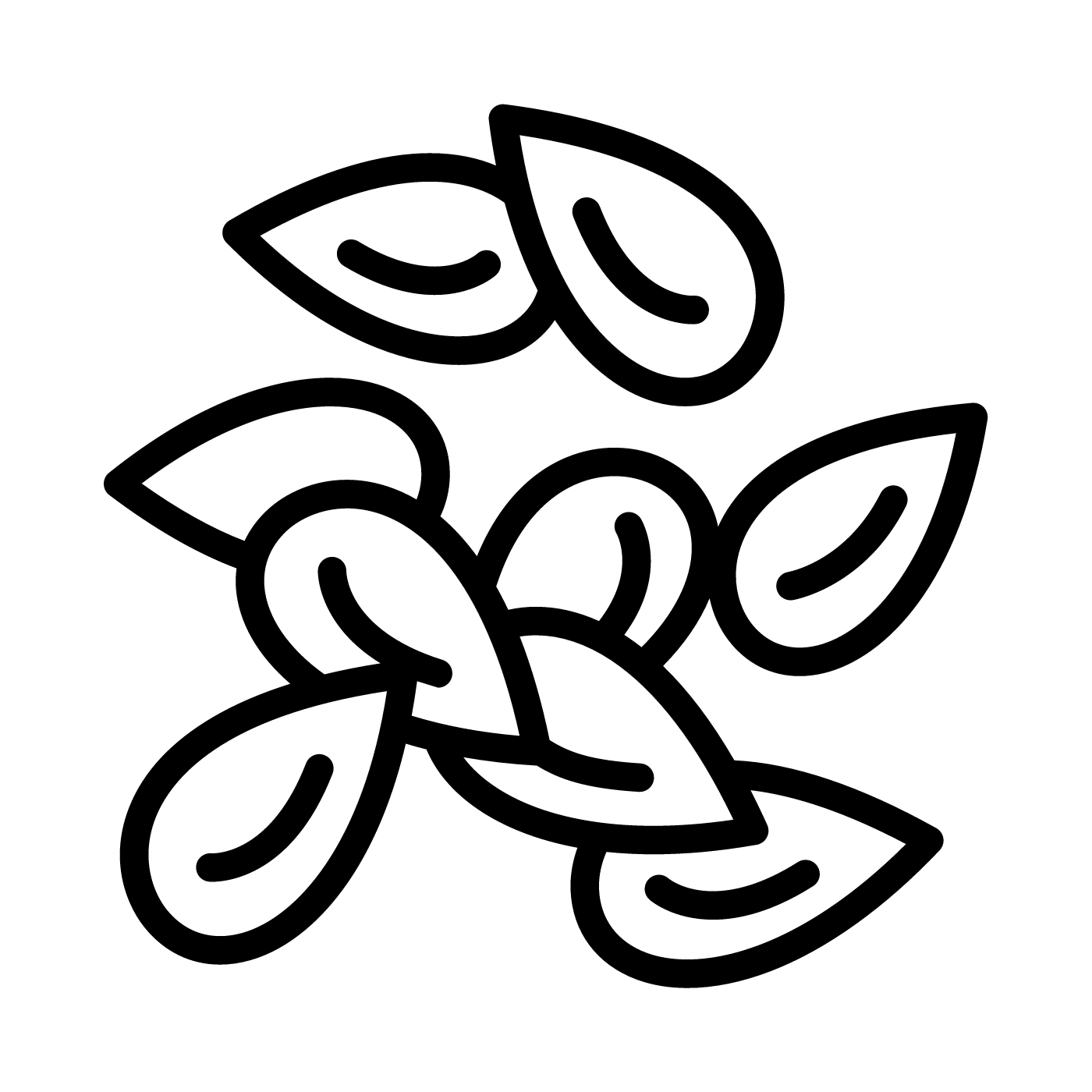 Outline drawing of flaxseeds