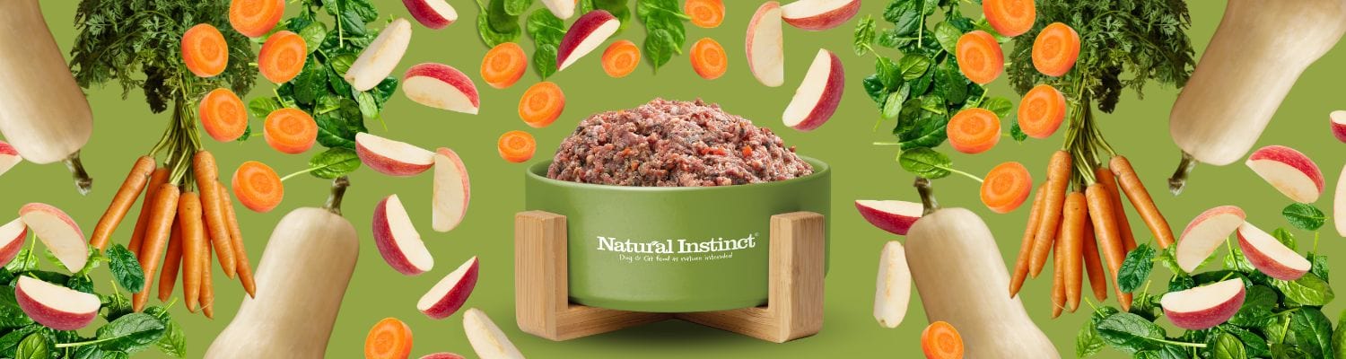 Natural Instinct green dog bowl filled with raw dog food and the ingredients falling around.