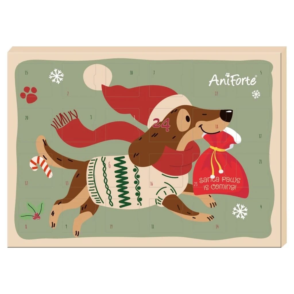 Natural Instinct Aniforte Advent Calendar Standard for Dogs