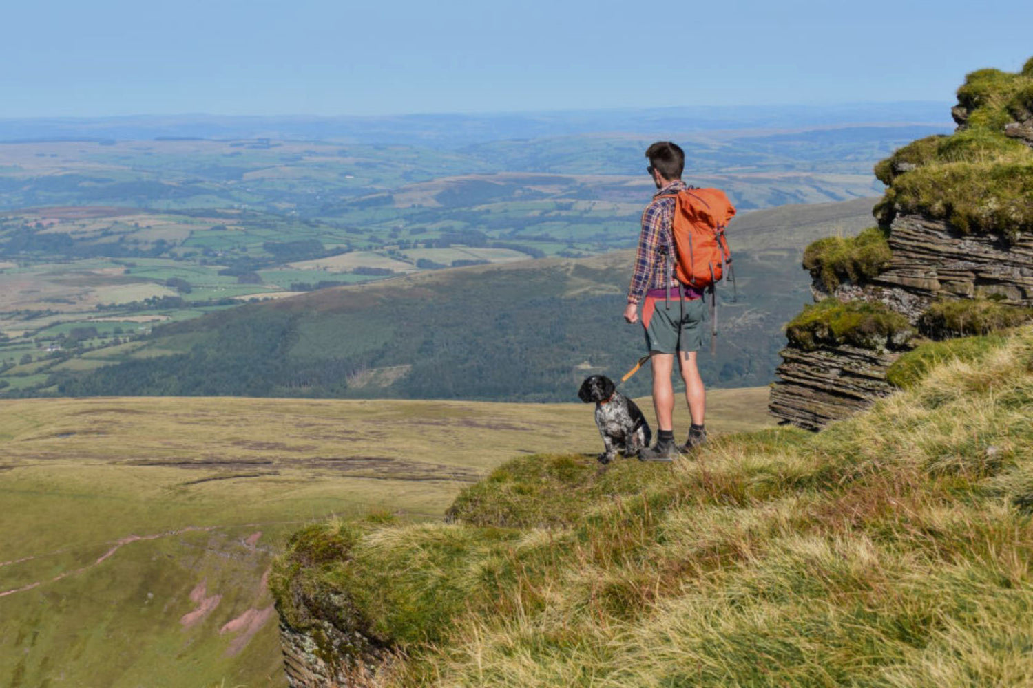 A dog walker wearing an orange backpack standing on a hill with his dog looking at the view