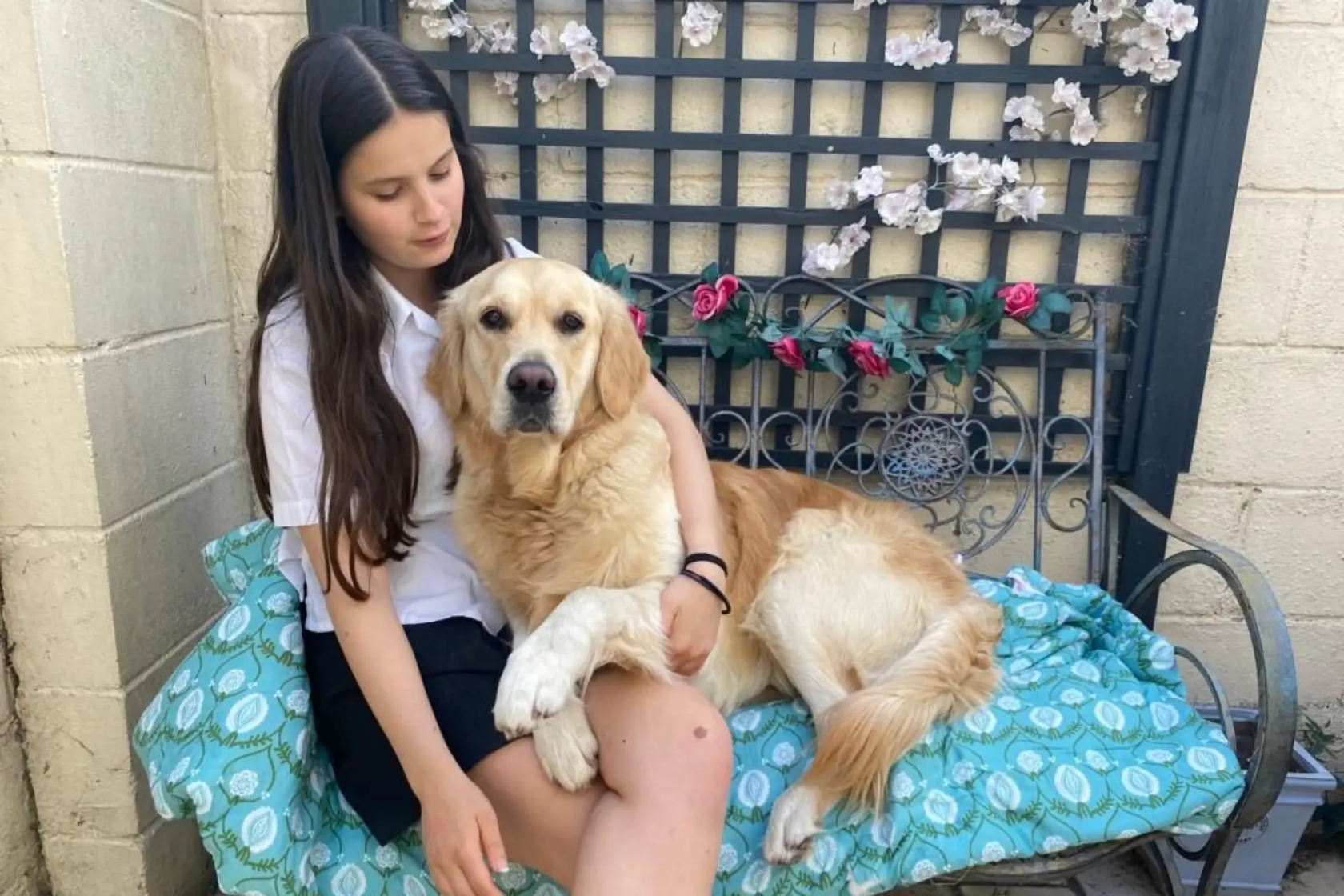 Golden retriever with teenage owner sitting on a bench