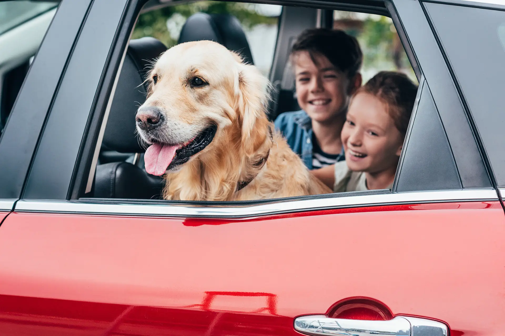Car with two children inside and a dog looking out the window