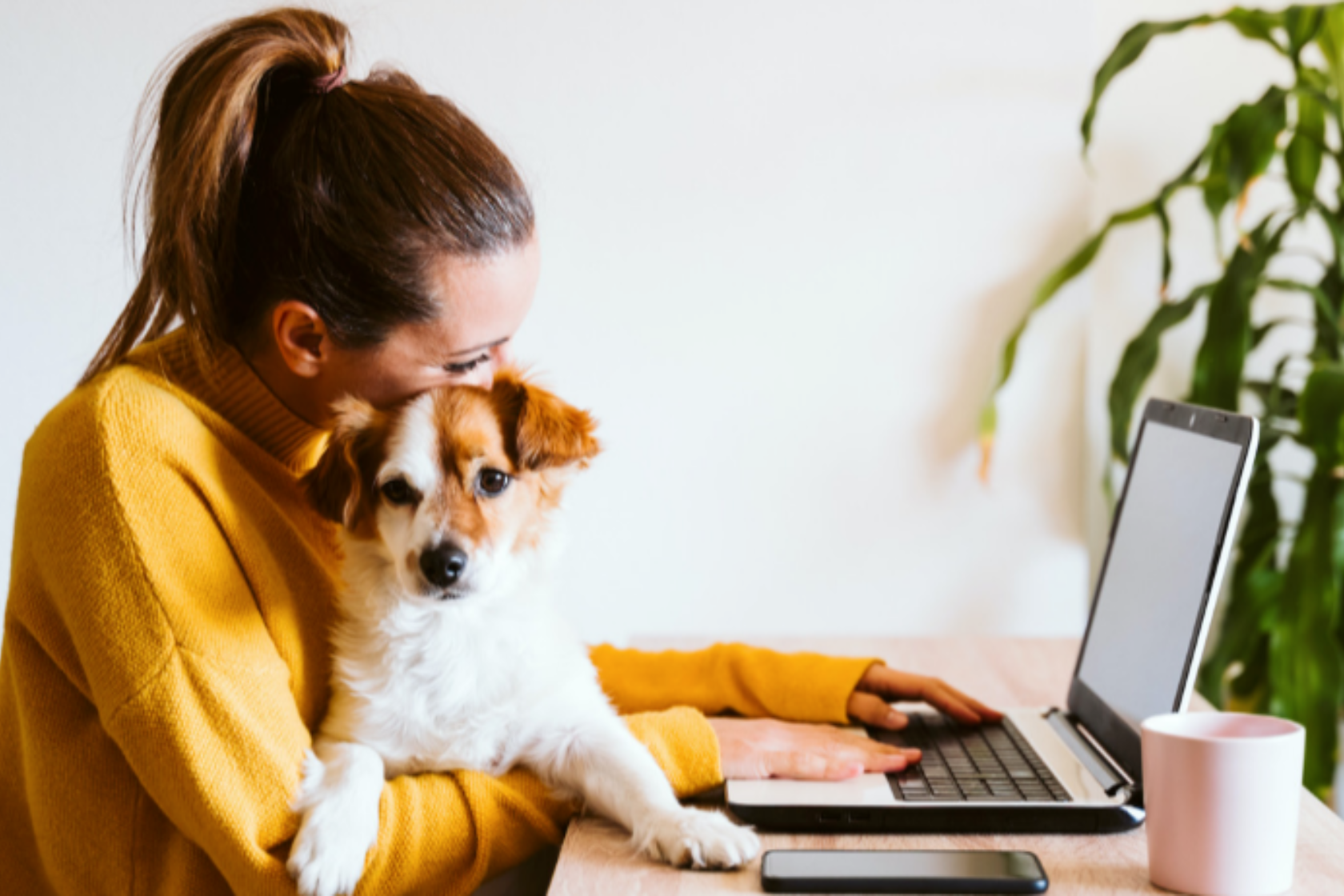 Woman working on laptop while holding her dog