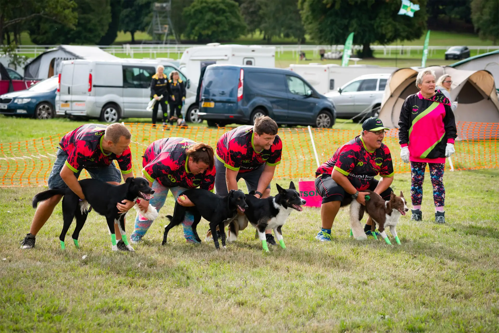 Watsons Flyball team with dogs