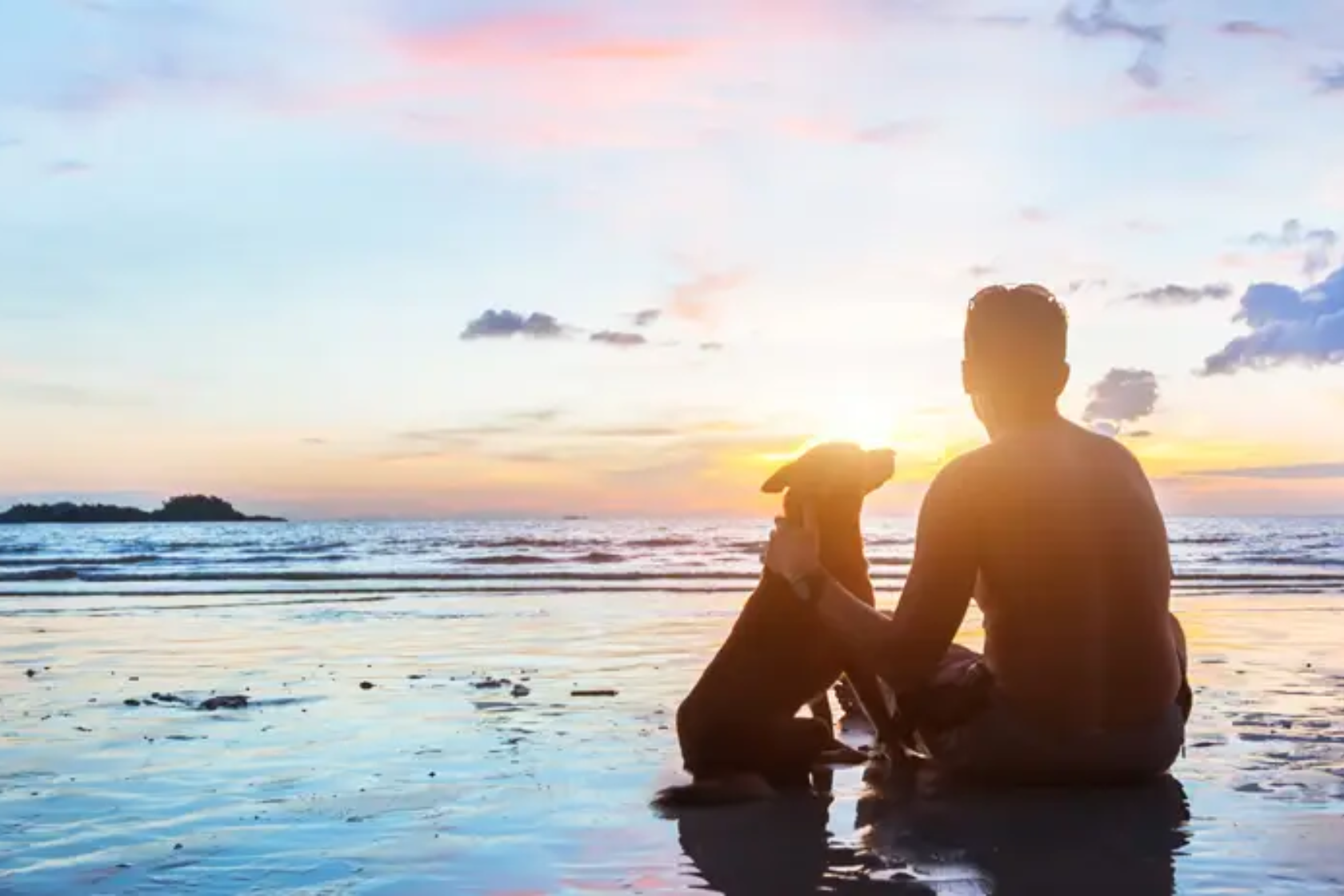 Silhouette of a man and dog sat together with a sunset in the background