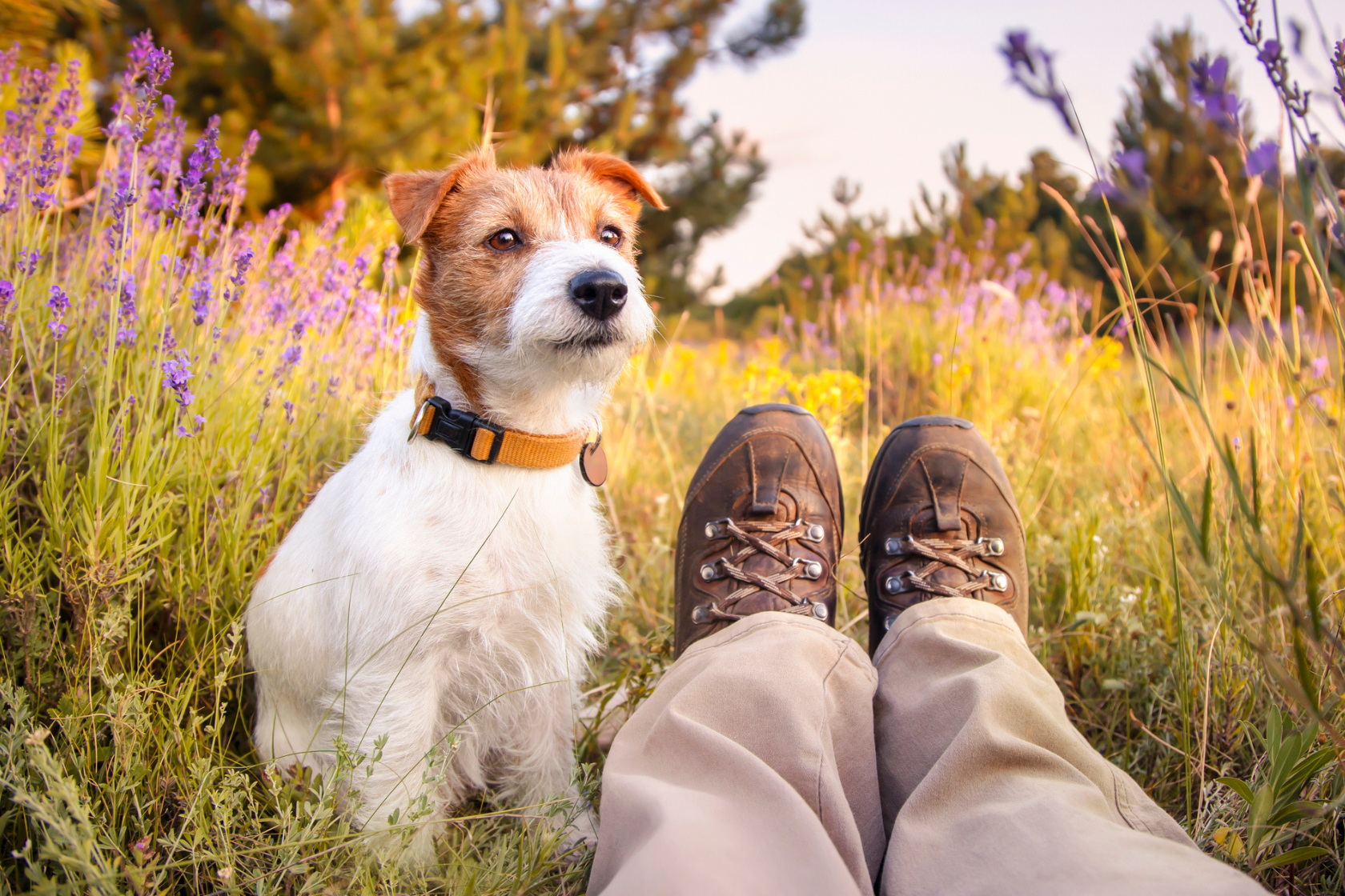 Tick Prevention and Protection