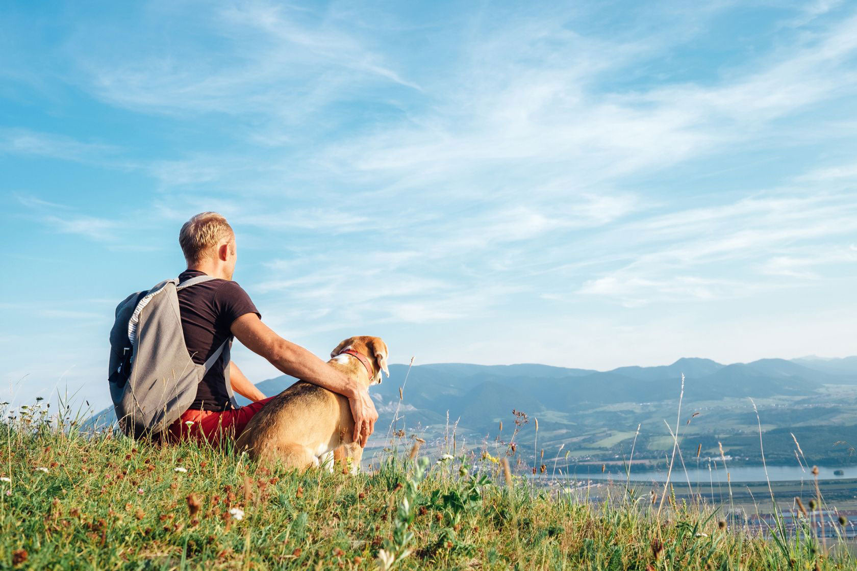 A man wearing a backpack sitting on a hill with his dog admiring the view