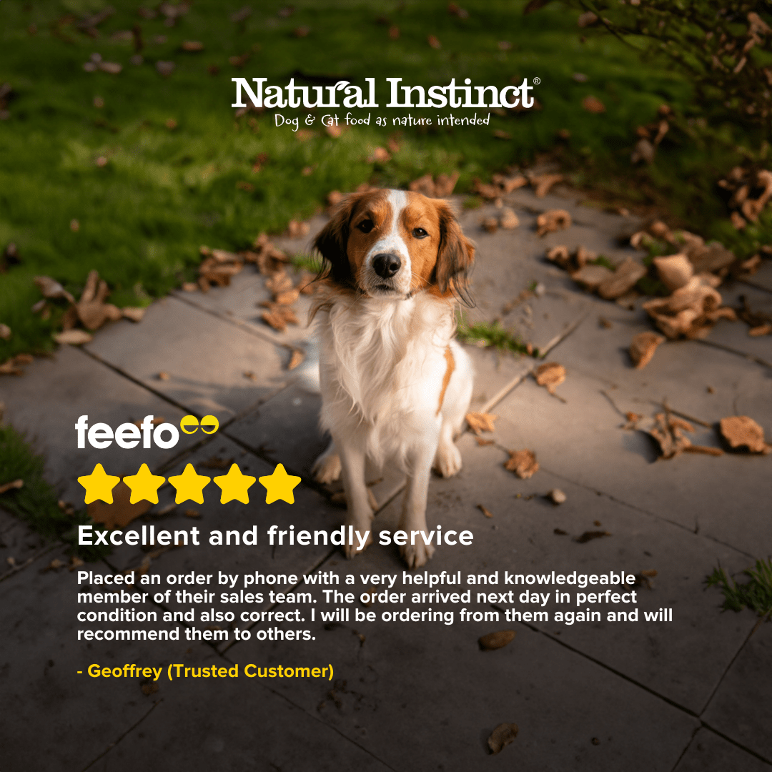 Natural instinct 2024 dog food suppliers