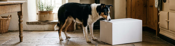Our New Recyclable Thermal Box | Natural Instinct