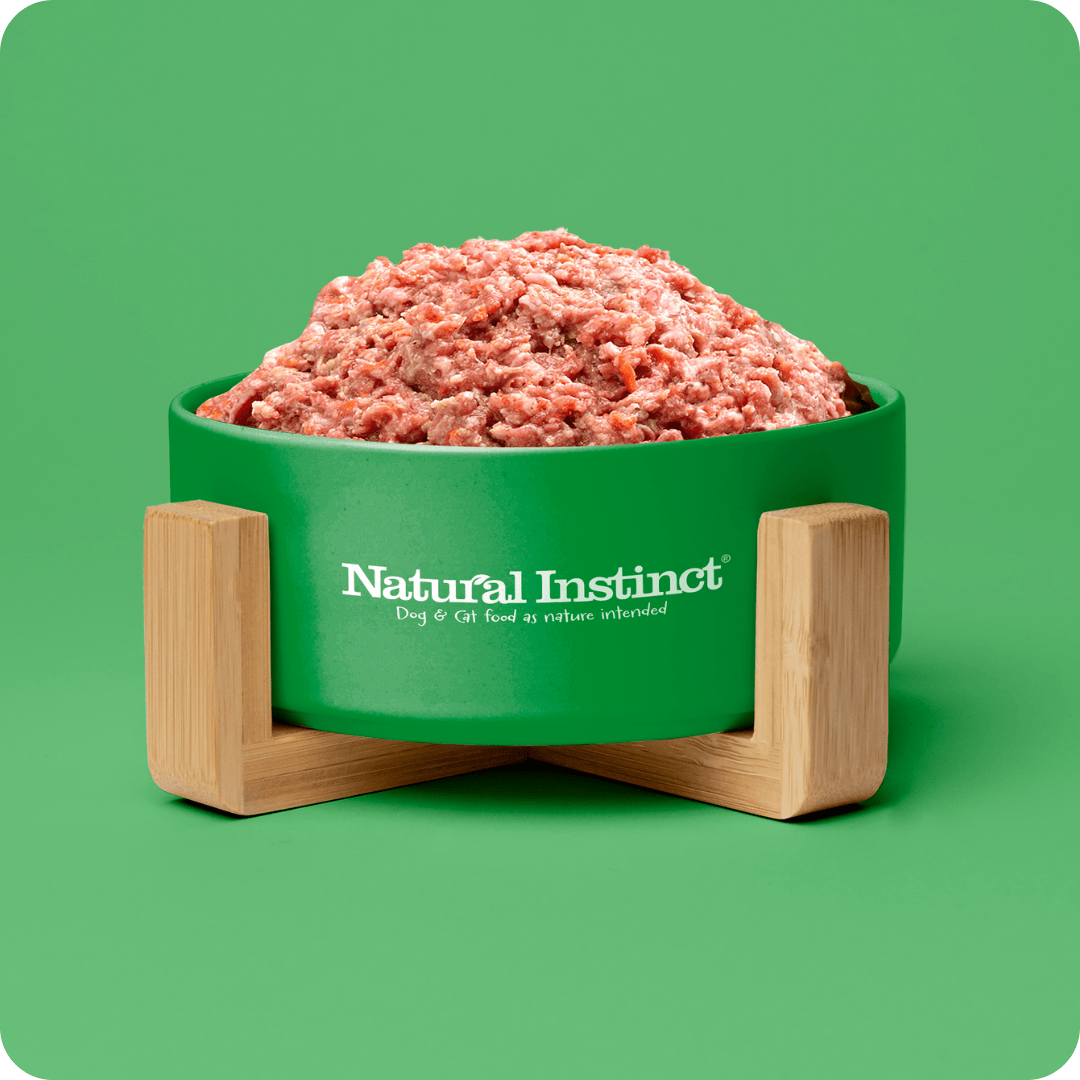 Green Natural Instinct bowl with wooden stand containing raw dog food on a green background, featuring 'Natural Instinct' branding.