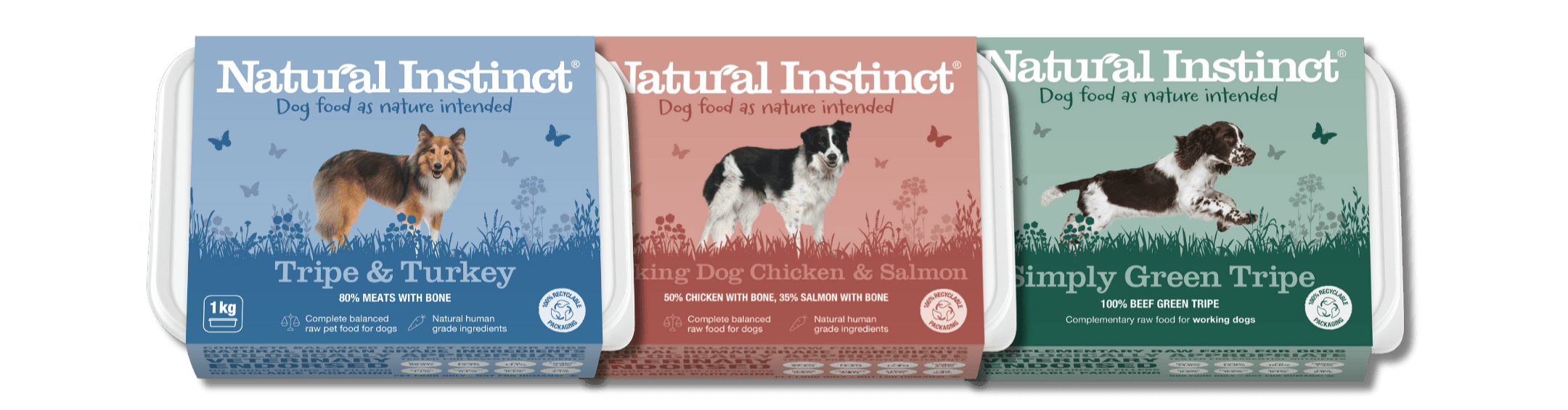 Three packages of Natural Instinct dog food on a green background