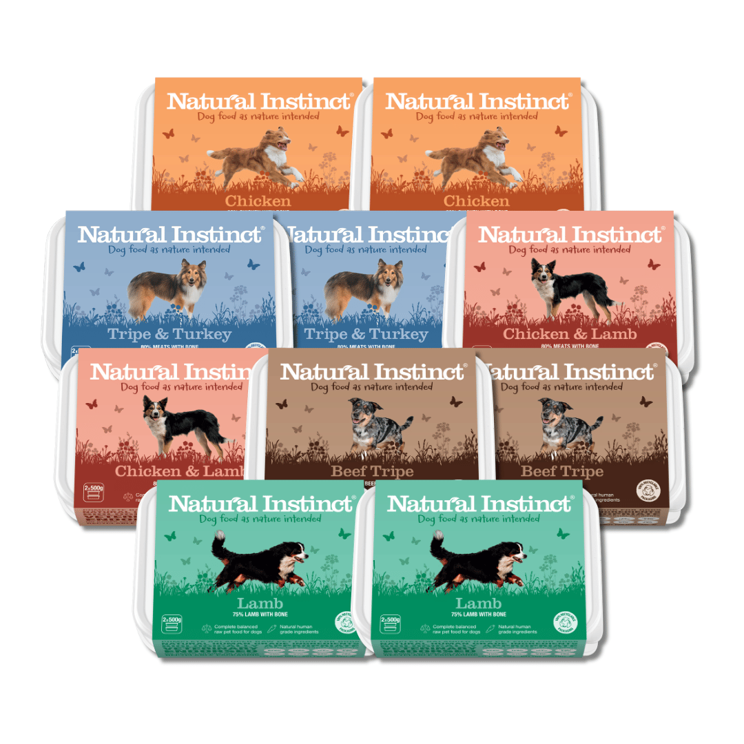 Natural Instinct Natural Variety Bundle - 10kg (2x500g)