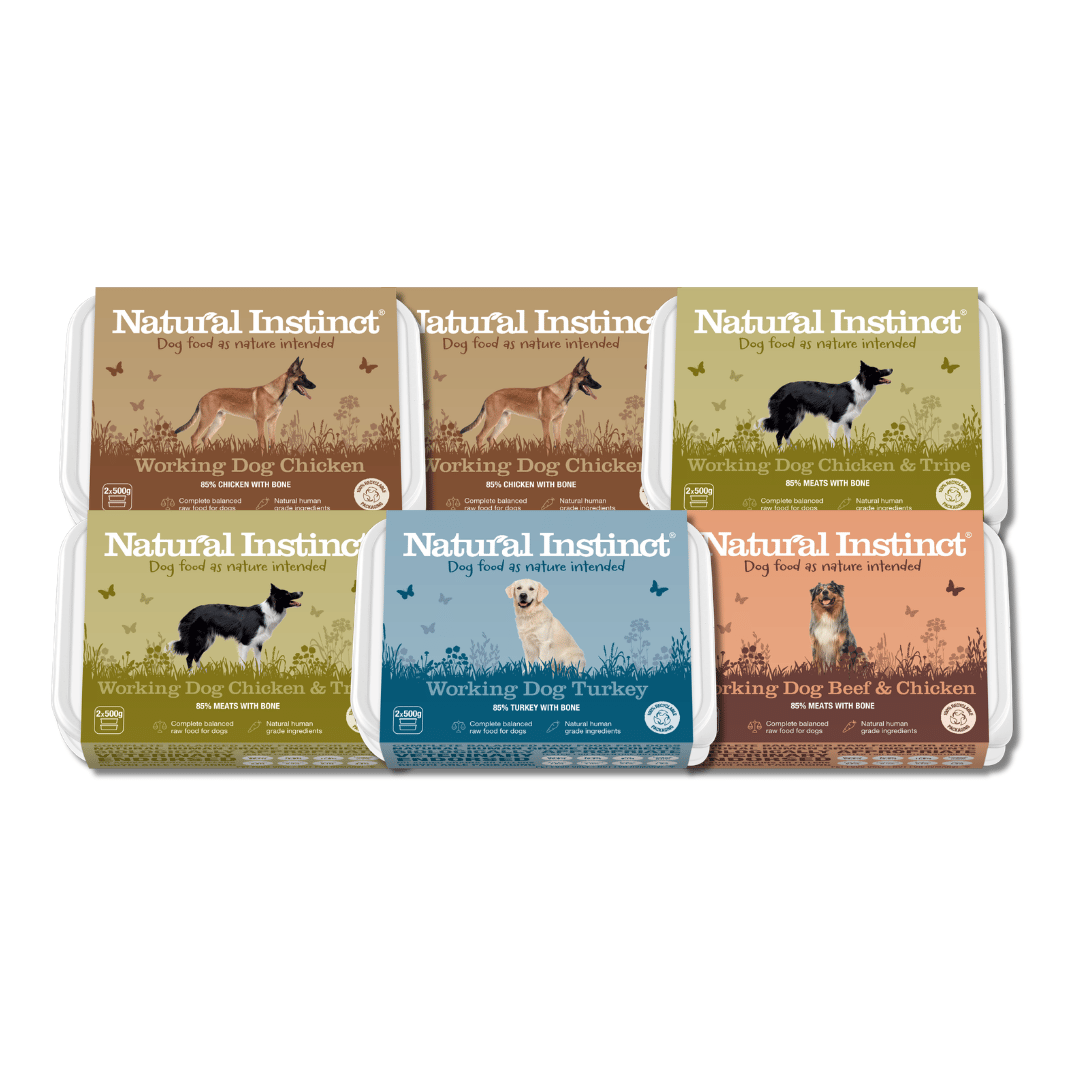 Six containers of Natural Instinct dog food in brown, green, blue, and orange packaging—each featuring a different dog illustration and labeled with flavors including Chicken, Turkey, and Beef & Chicken—make up the Working Dog Taster Bundle - 6kg (2x500g), a complete raw meal set designed to introduce your pet to premium raw dog food.