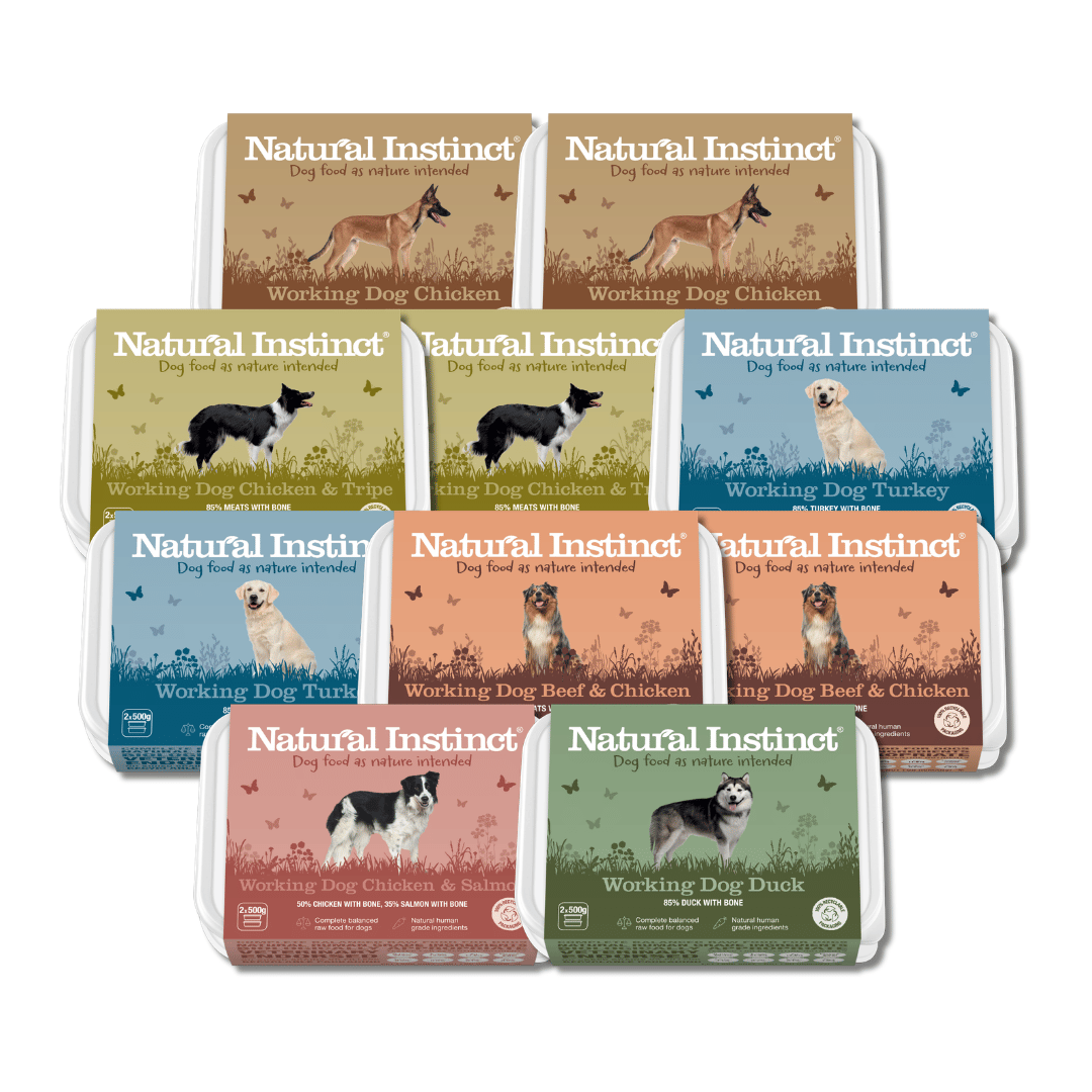 Ten packs of the Working Dog Variety Bundle - 10kg (2x500g) raw dog food are arranged in three rows, each with distinctive colored packaging and dog illustrations. The selection includes a range of flavors such as chicken, beef, turkey, and tripe to meet your pet’s nutritional needs.
