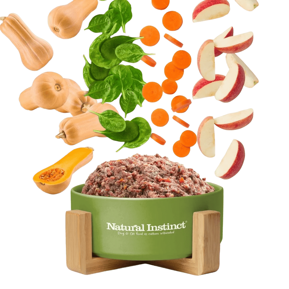 Green Natural Instinct bowl of raw dog food with natural ingredients on a transparent background